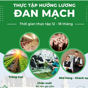 500 đến 700 chỉ tiêu cho chương trình thực tập sinh Đan Mạch năm 2025 ( 2000-2300Eu/th)