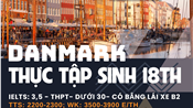 Thực tập sinh Đan Mạch 18 tháng + Gia hạn, WK, thẻ xanh (THPT trở lên)