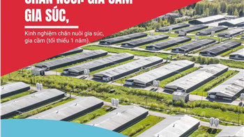 Job - Việc làm tại Đức: Nhóm nghề Nông nghiệp - Chăn nuôi gia cầm, gia súc