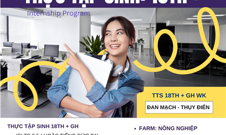 Thực Tập Sinh: Đan Mạch, Thụy Điển, Mỹ, v.v